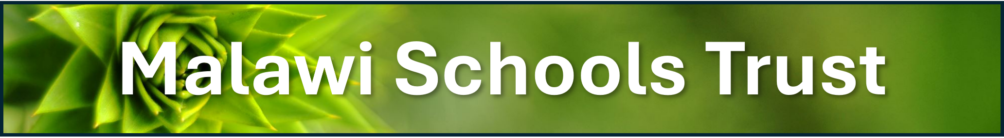 Malawi Schools Trust.png