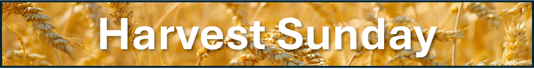 Harvest Sunday.png