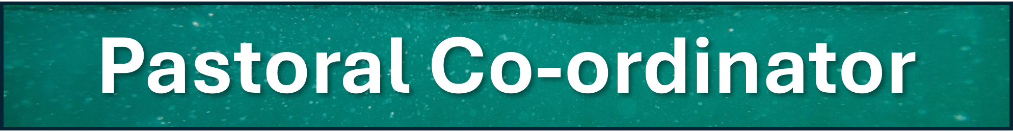 Pastoral Co-ordinator.png