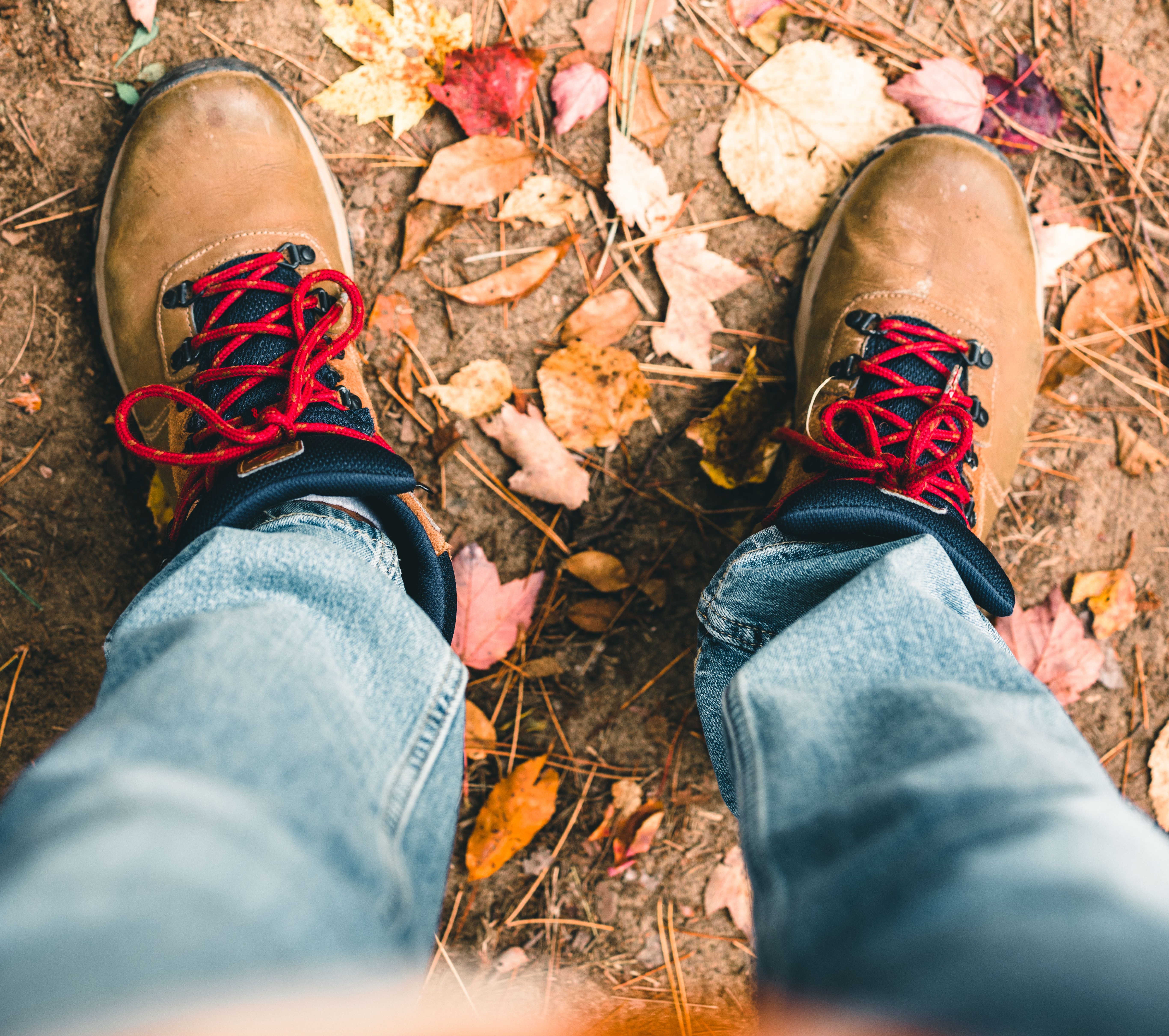 pexels-lureofadventure-13953691.jpg