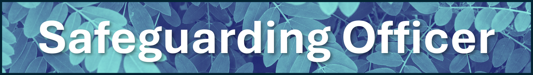 Safeguarding Officer.png